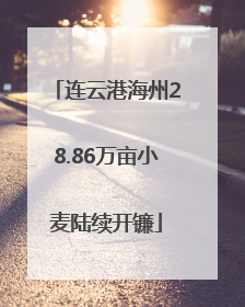 连云港海州28.86万亩小麦陆续开镰