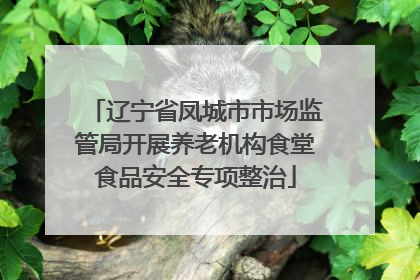 辽宁省凤城市市场监管局开展养老机构食堂食品安全专项整治