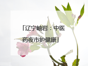 辽宁岫岩：中医药夜市护健康