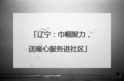 辽宁：巾帼聚力，送暖心服务进社区