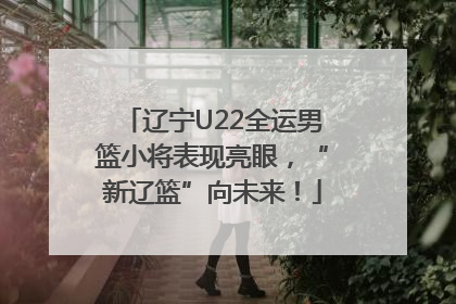 辽宁U22全运男篮小将表现亮眼，“新辽篮”向未来！
