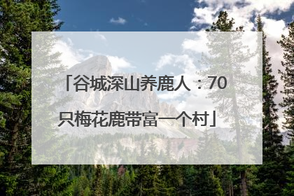 谷城深山养鹿人：70只梅花鹿带富一个村