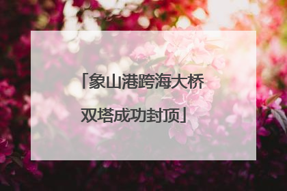 象山港跨海大桥双塔成功封顶
