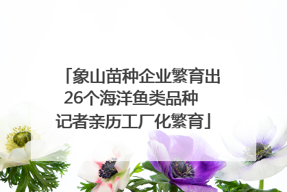 象山苗种企业繁育出26个海洋鱼类品种 记者亲历工厂化繁育