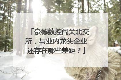 豪德数控闯关北交所，与业内龙头企业还存在哪些差距？