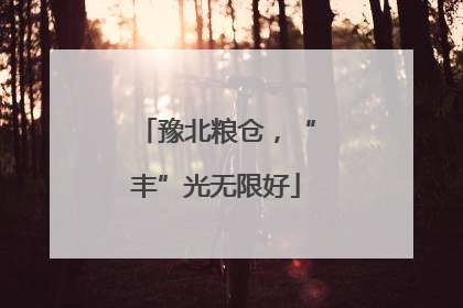 豫北粮仓，“丰”光无限好