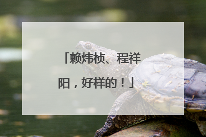 赖炜桢、程祥阳，好样的！