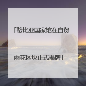 赞比亚国家馆在自贸雨花区块正式揭牌