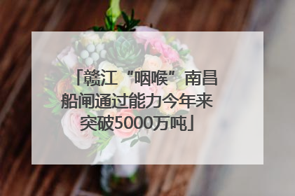 赣江“咽喉”南昌船闸通过能力今年来突破5000万吨