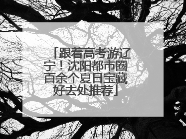 跟着高考游辽宁！沈阳都市圈百余个夏日宝藏好去处推荐