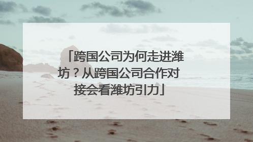 跨国公司为何走进潍坊？从跨国公司合作对接会看潍坊引力