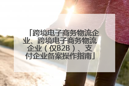 跨境电子商务物流企业、跨境电子商务物流企业（仅B2B）、支付企业备案操作指南