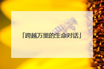 跨越万里的生命对话