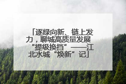 逐绿向新、链上发力，聊城高质量发展“提级换挡”——江北水城“焕新”记