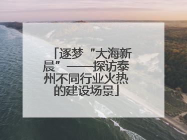 逐梦“大海新晨”——探访泰州不同行业火热的建设场景