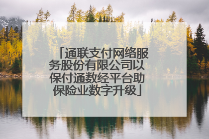 通联支付网络服务股份有限公司以保付通数经平台助保险业数字升级