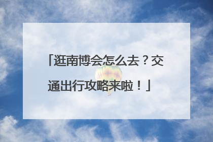 逛南博会怎么去？交通出行攻略来啦！