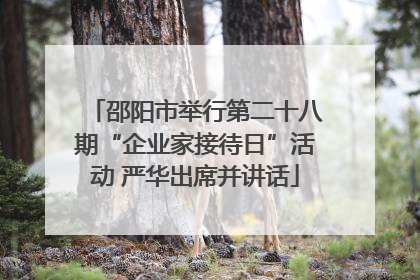 邵阳市举行第二十八期“企业家接待日”活动 严华出席并讲话