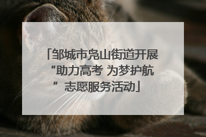 邹城市凫山街道开展“助力高考 为梦护航”志愿服务活动