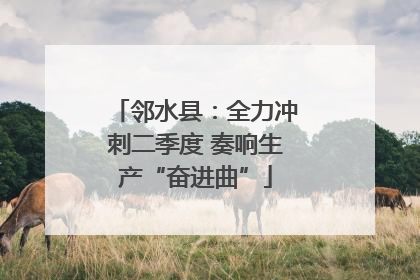 邻水县：全力冲刺二季度 奏响生产“奋进曲”