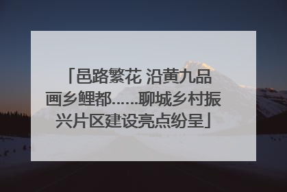 邑路繁花 沿黄九品 画乡鲤都……聊城乡村振兴片区建设亮点纷呈