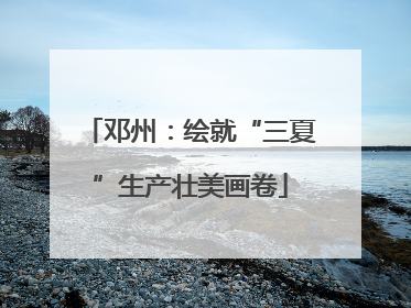 邓州：绘就“三夏”生产壮美画卷