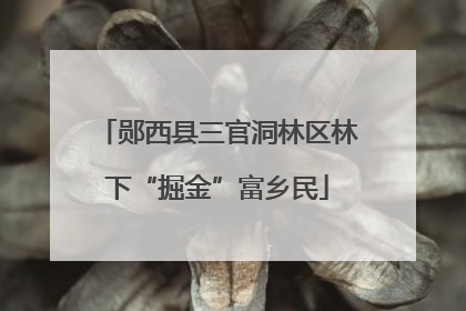 郧西县三官洞林区林下“掘金”富乡民