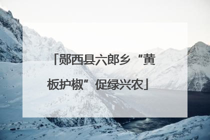 郧西县六郎乡“黄板护椒”促绿兴农