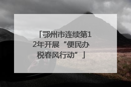 鄂州市连续第12年开展“便民办税春风行动”