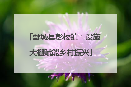 鄄城县彭楼镇：设施大棚赋能乡村振兴