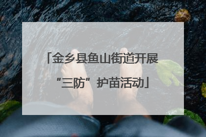 金乡县鱼山街道开展“三防”护苗活动