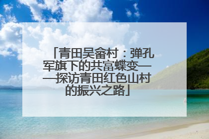 青田吴畲村：弹孔军旗下的共富蝶变——探访青田红色山村的振兴之路