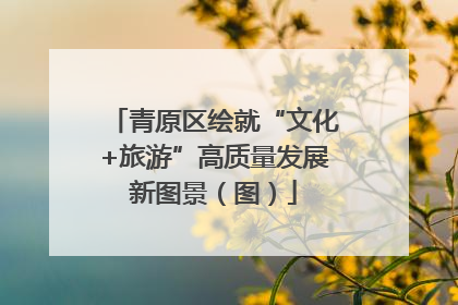 青原区绘就“文化+旅游”高质量发展新图景（图）