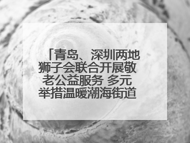 青岛、深圳两地狮子会联合开展敬老公益服务 多元举措温暖潮海街道南杨头村老人