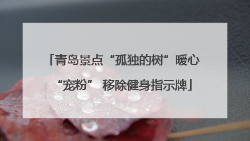 青岛景点“孤独的树”暖心“宠粉” 移除健身指示牌