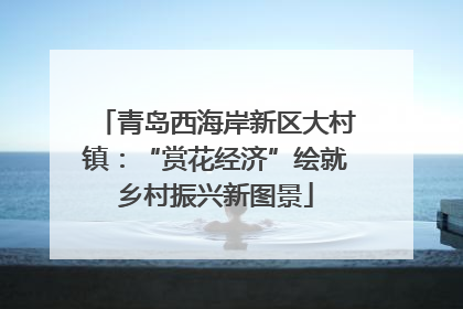青岛西海岸新区大村镇：“赏花经济”绘就乡村振兴新图景