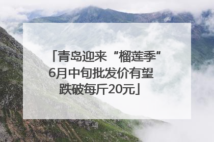 青岛迎来“榴莲季” 6月中旬批发价有望跌破每斤20元