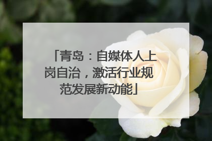 青岛：自媒体人上岗自治，激活行业规范发展新动能