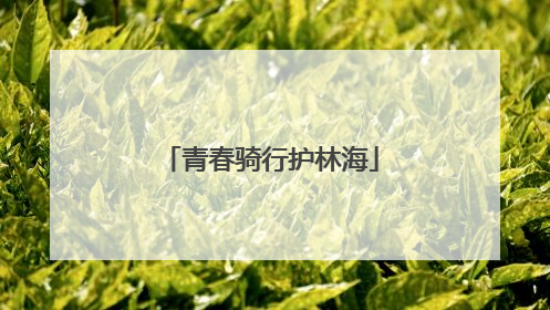 青春骑行护林海