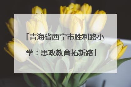 青海省西宁市胜利路小学：思政教育拓新路