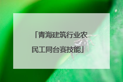 青海建筑行业农民工同台赛技能
