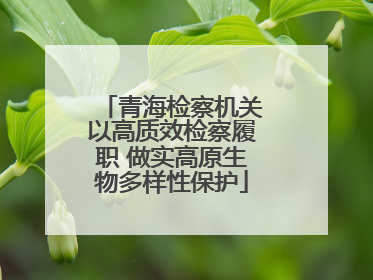 青海检察机关以高质效检察履职 做实高原生物多样性保护