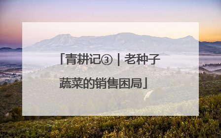 青耕记③｜老种子蔬菜的销售困局