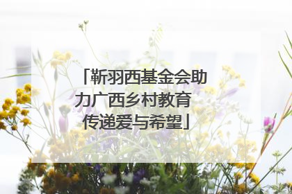 靳羽西基金会助力广西乡村教育 传递爱与希望