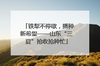 铁犁不停歇，播种新希望——山东“三夏”抢收抢种忙