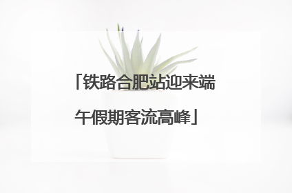 铁路合肥站迎来端午假期客流高峰