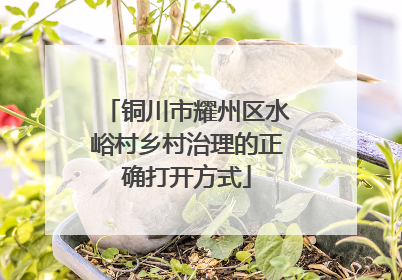 铜川市耀州区水峪村乡村治理的正确打开方式