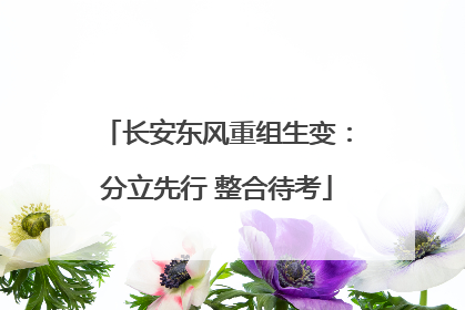 长安东风重组生变：分立先行 整合待考