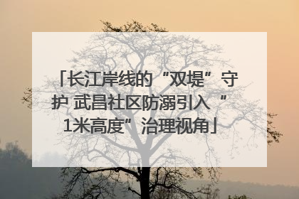 长江岸线的“双堤”守护 武昌社区防溺引入“1米高度”治理视角