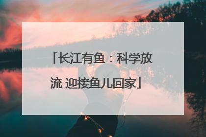 长江有鱼：科学放流 迎接鱼儿回家